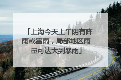 上海今天上午阴有阵雨或雷雨，局部地区雨量可达大到暴雨